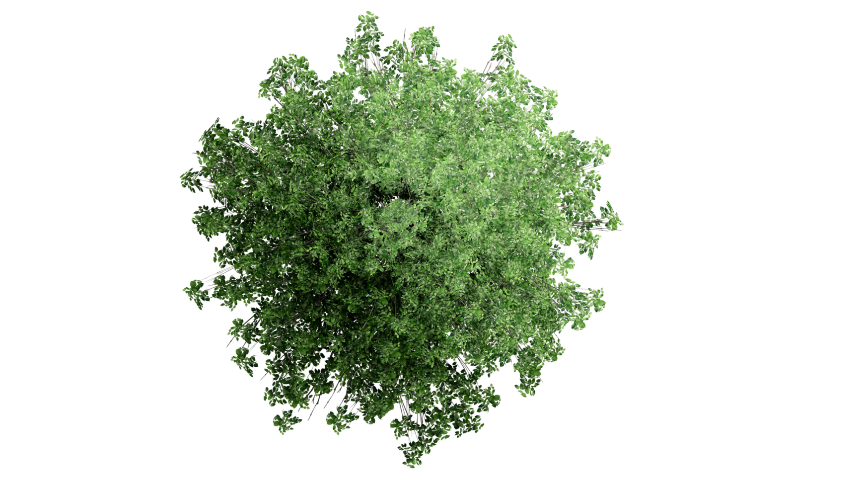 3D Top view Green Trees Isolated on PNGs transparent background , Use for visualization in architectural design or garden decorate