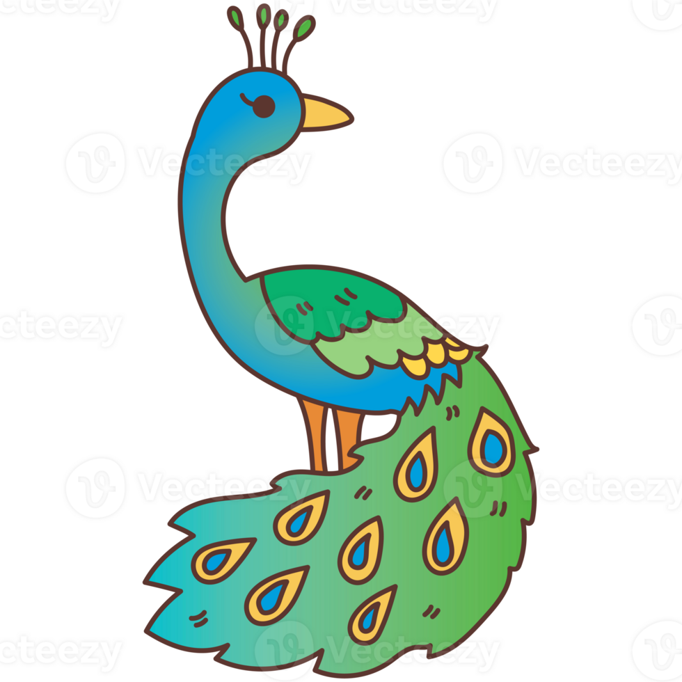 peacock cartoon doodle png