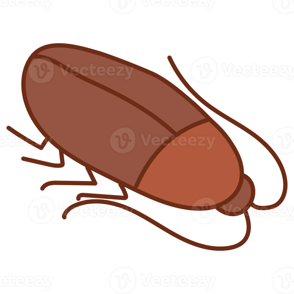 barata desenho animado rabisco png