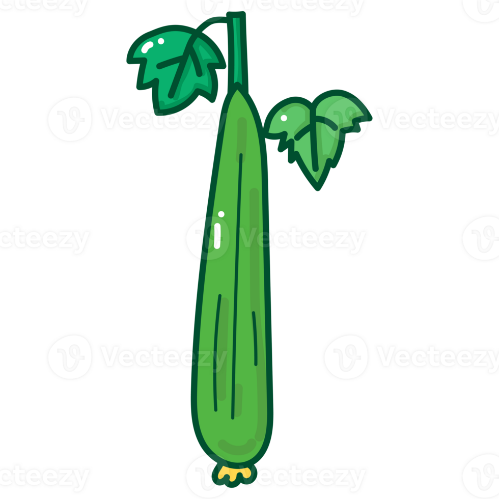 zucchini cartoon doodle png