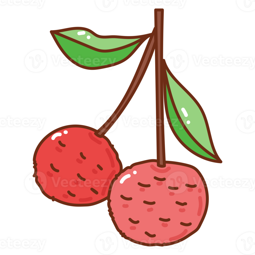 lychee cartoon doodle png
