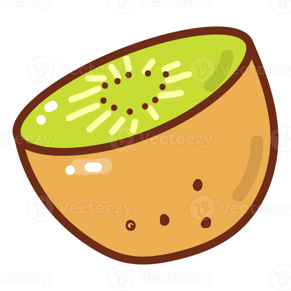 kiwi cartoon doodle png