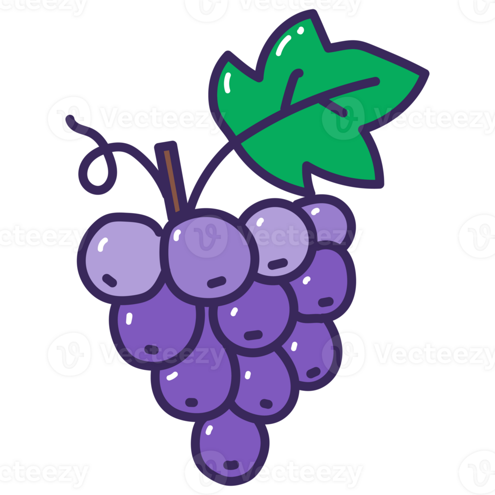 grape cartoon doodle png