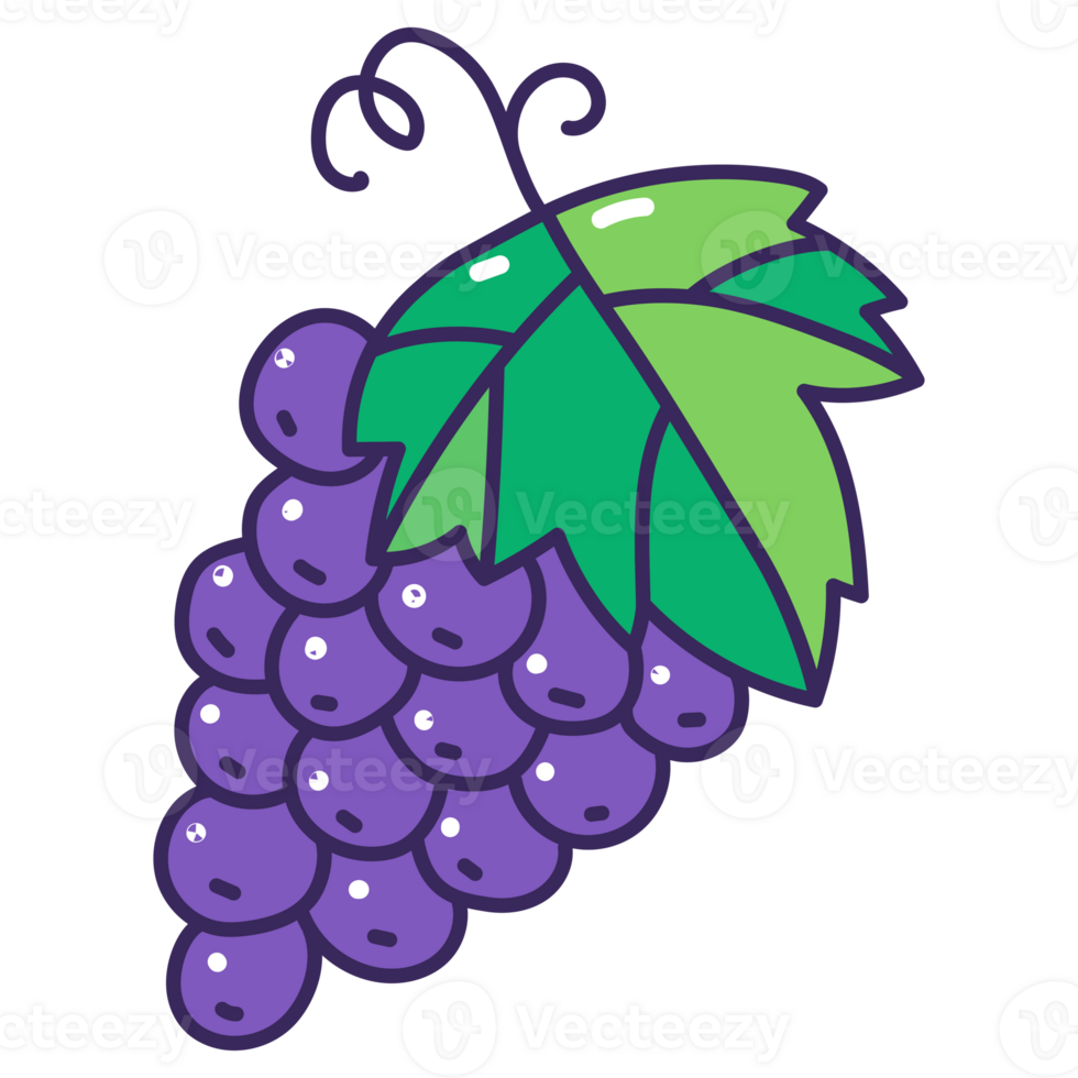 grape cartoon doodle png
