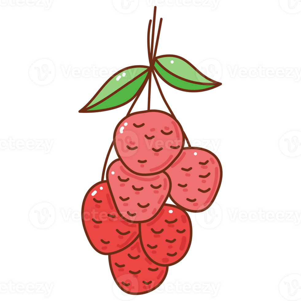 lychee cartoon doodle png