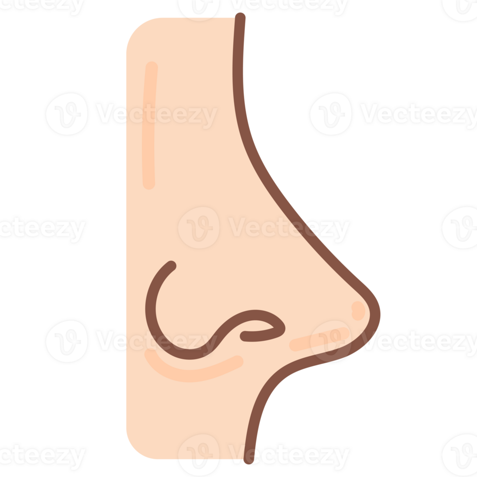 nose doodle cartoon png