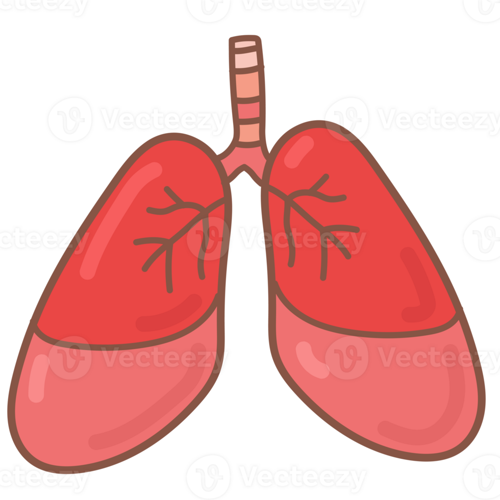 lung doodle cartoon png
