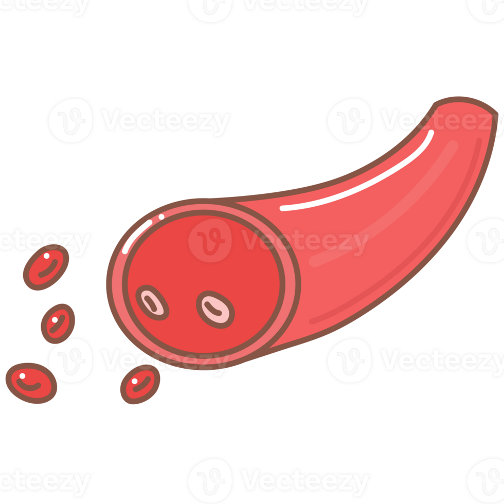 blood artery doodle cartoon png
