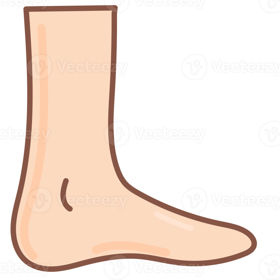 foot doodle cartoon png