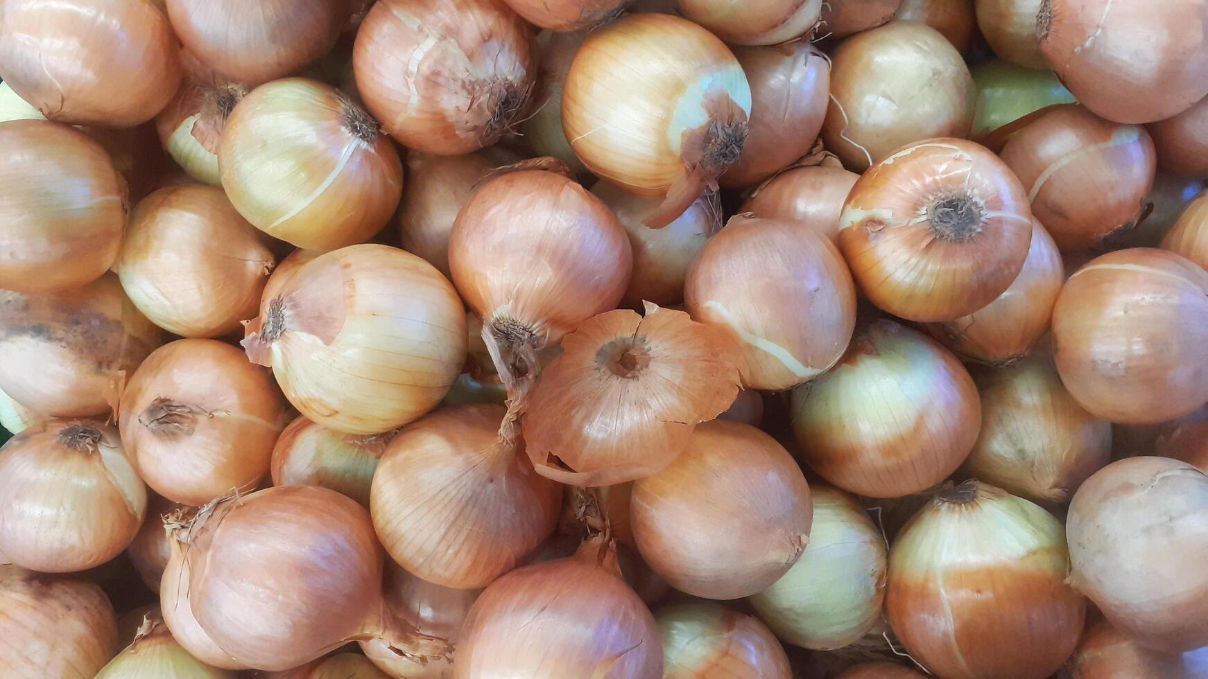 Big pile of onions in the market photo