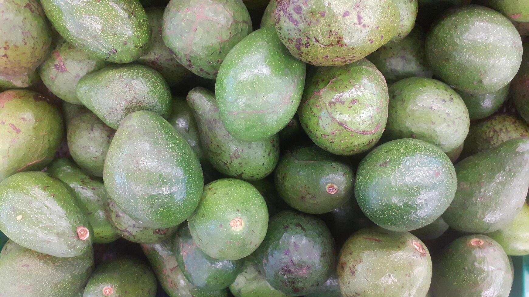 Big pile of avocados on the market photo