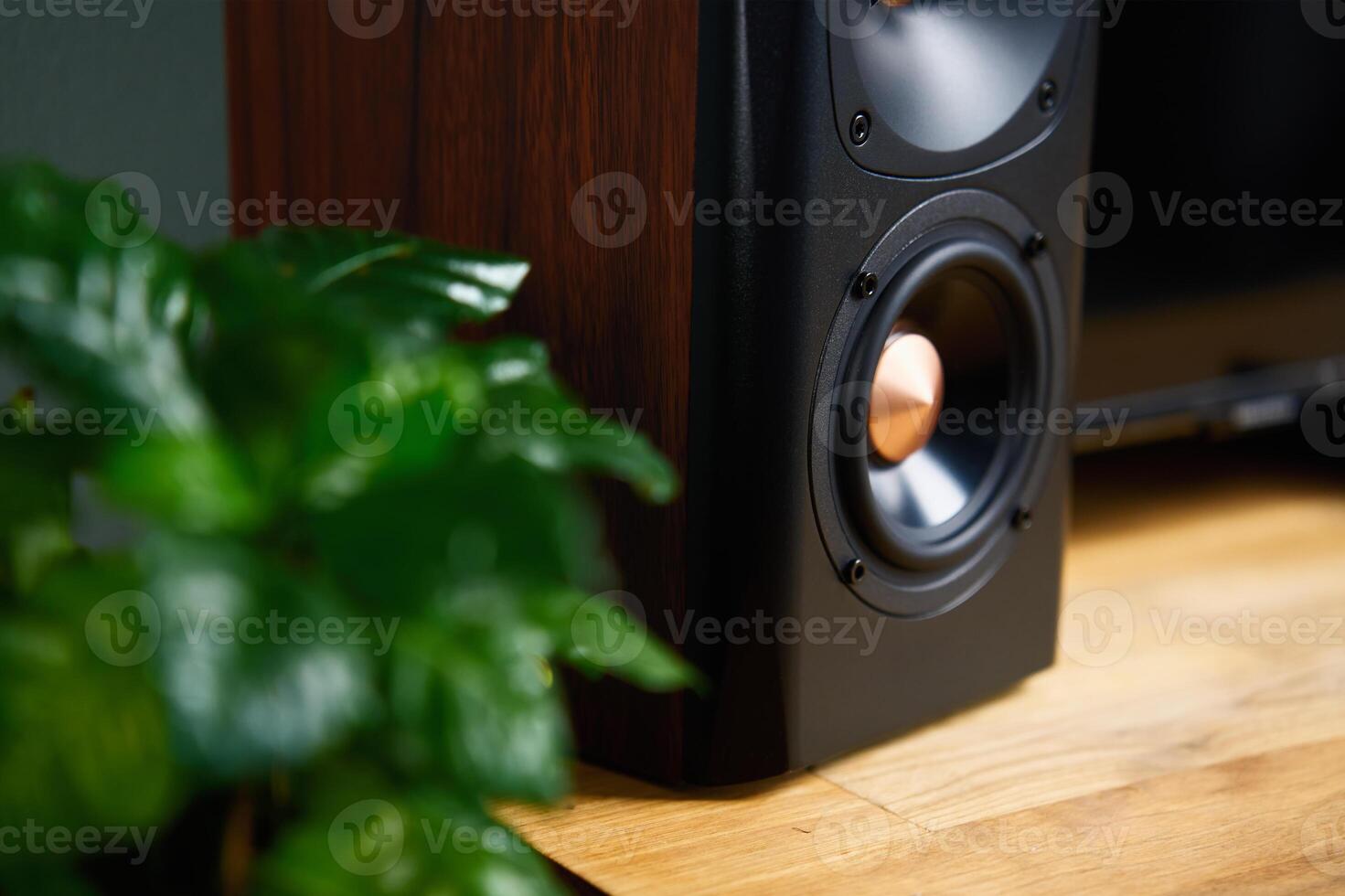 Sound speaker in living room interior photo