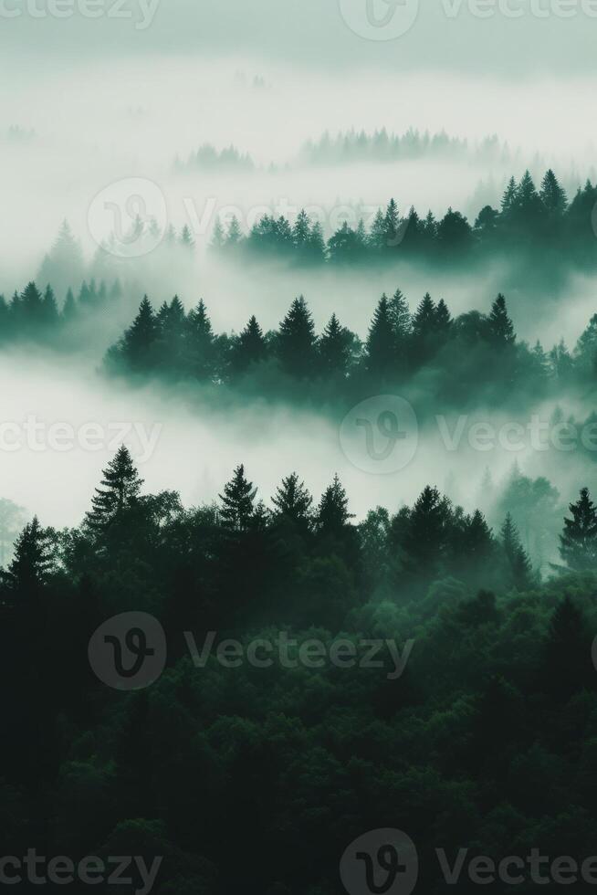 AI generated Forest trees silhouettes in fog, vertical shot. Nature background photo