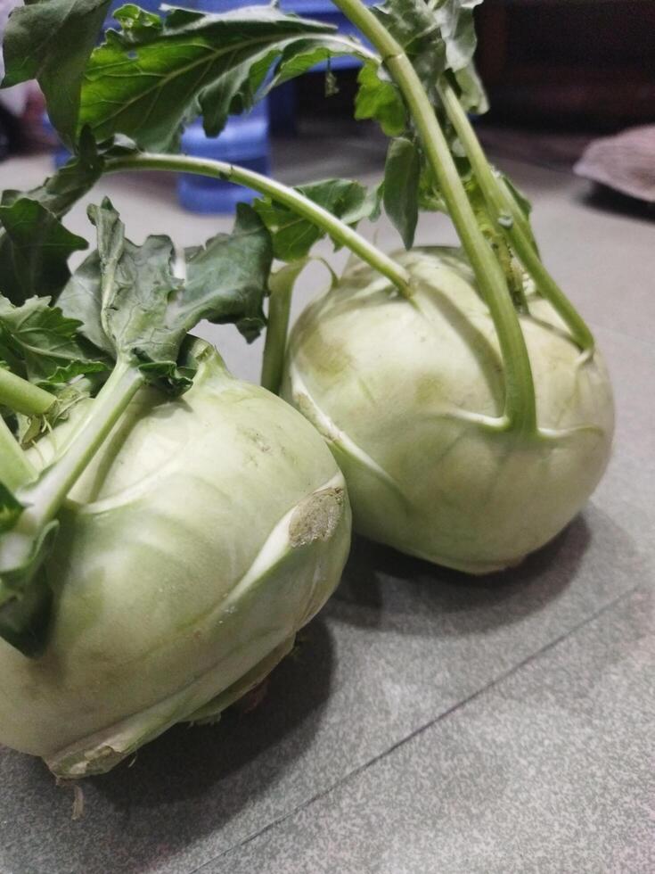 two white vegetables sitting on a tiled floor photo