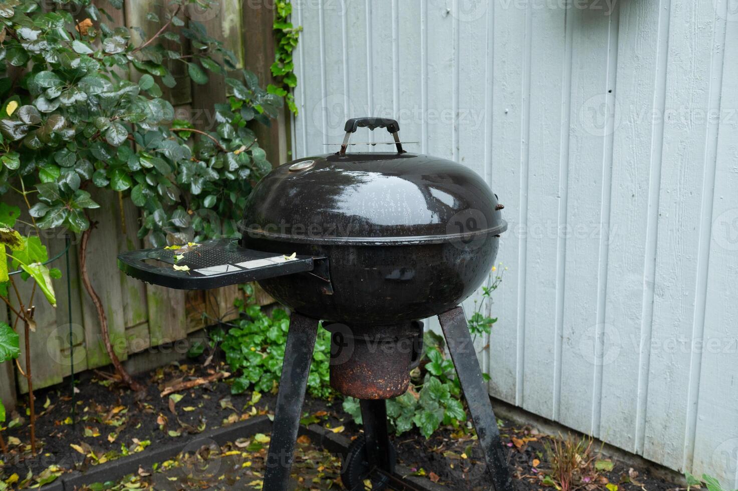 Weathered Kettle Grill in Backyard photo