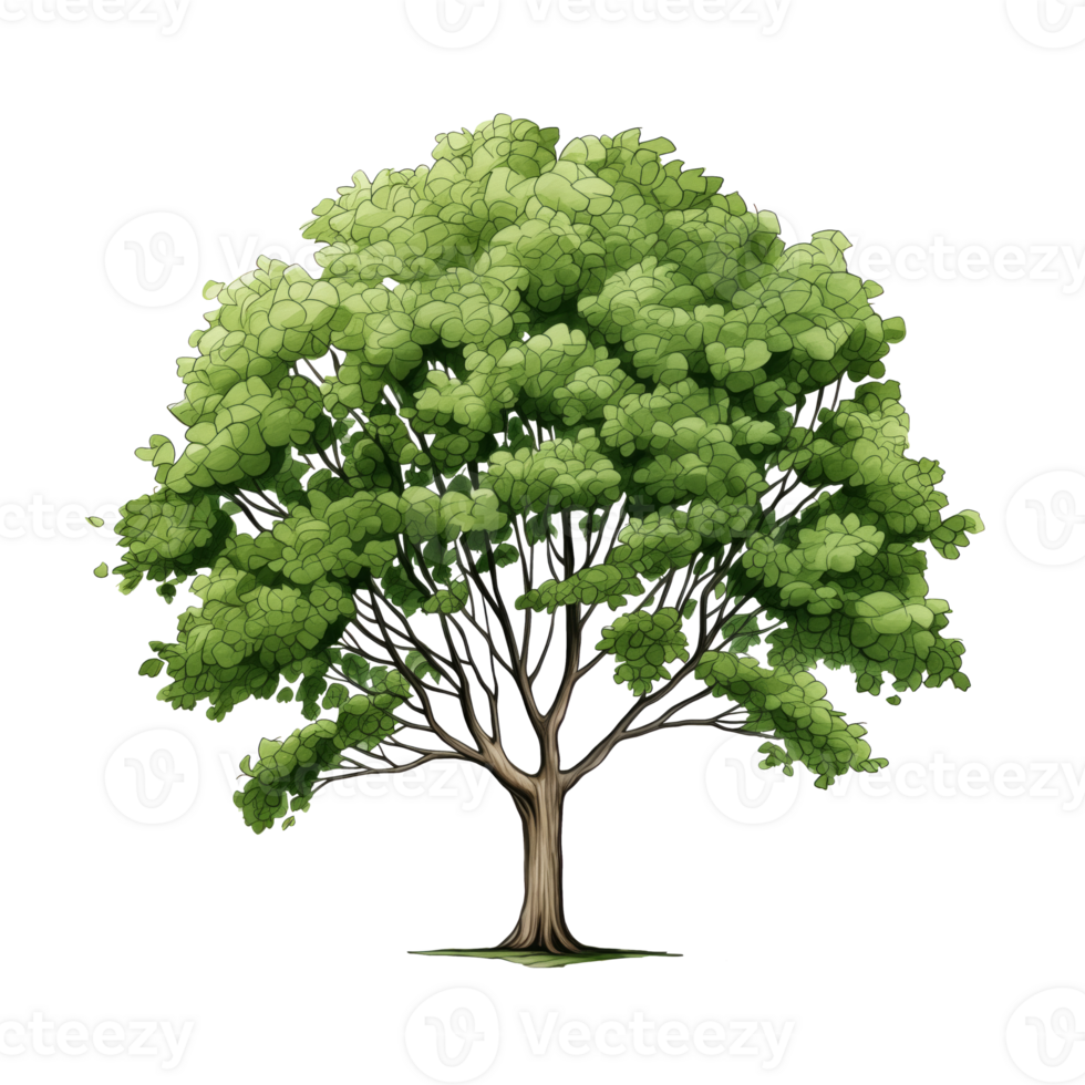 AI generated Green Tree, cartoon clipart, isolated on transparent background. png