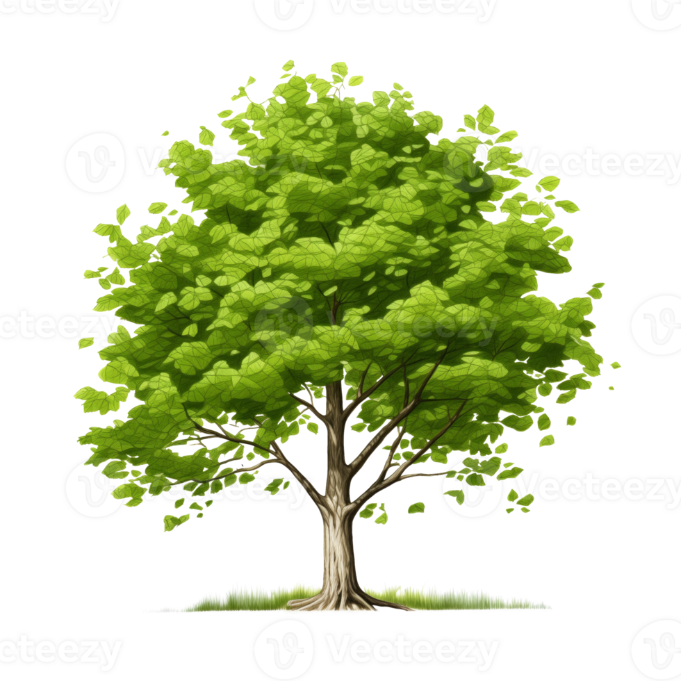 AI generated Green Tree, cartoon clipart, isolated on transparent background. png