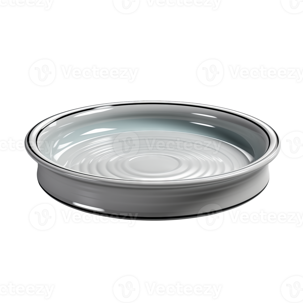 AI generated Empty Pie dish isolated on a transparent background. png