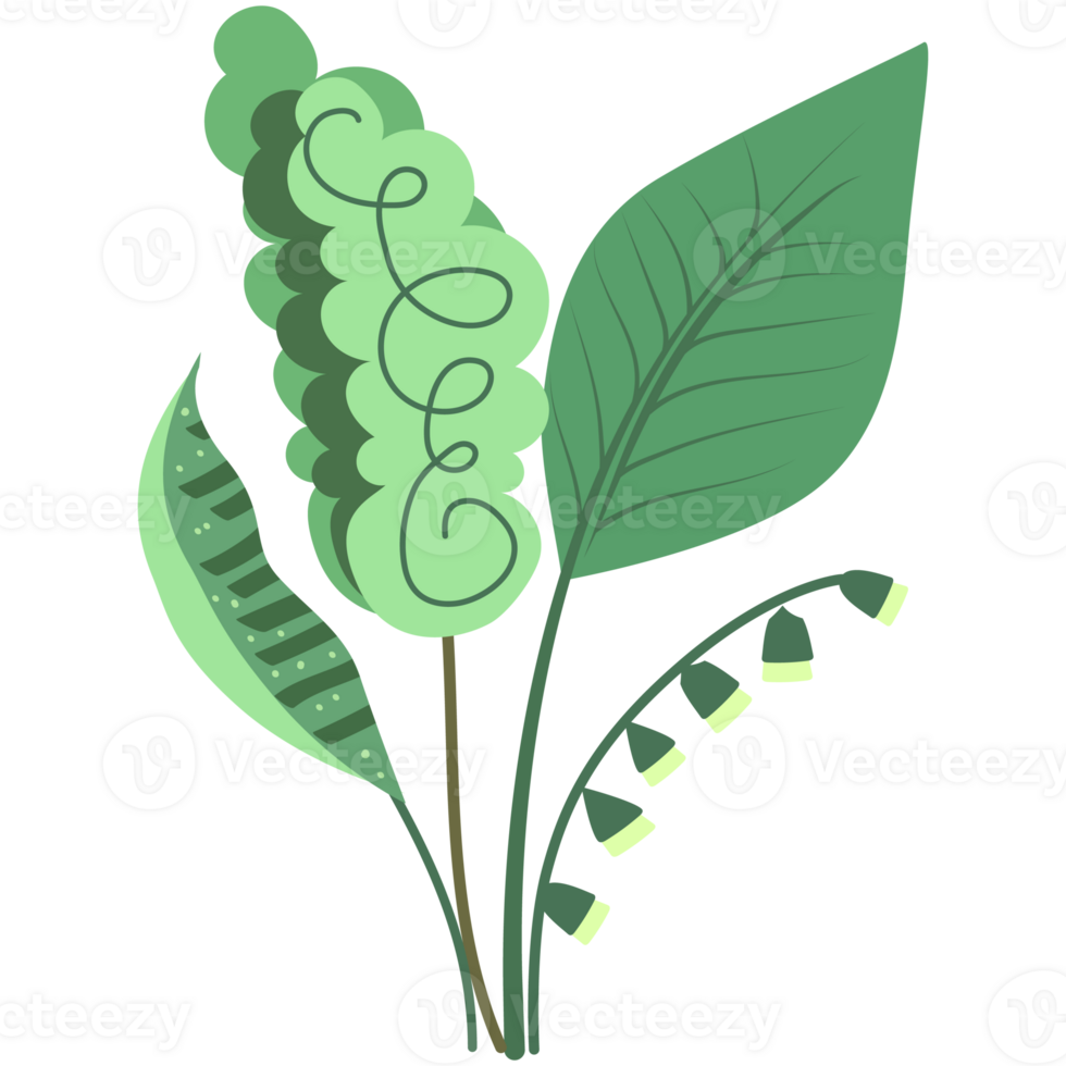 Tropical leaves and flowers. Palm, banana leaf, hibiscus, plumeria flowers. png