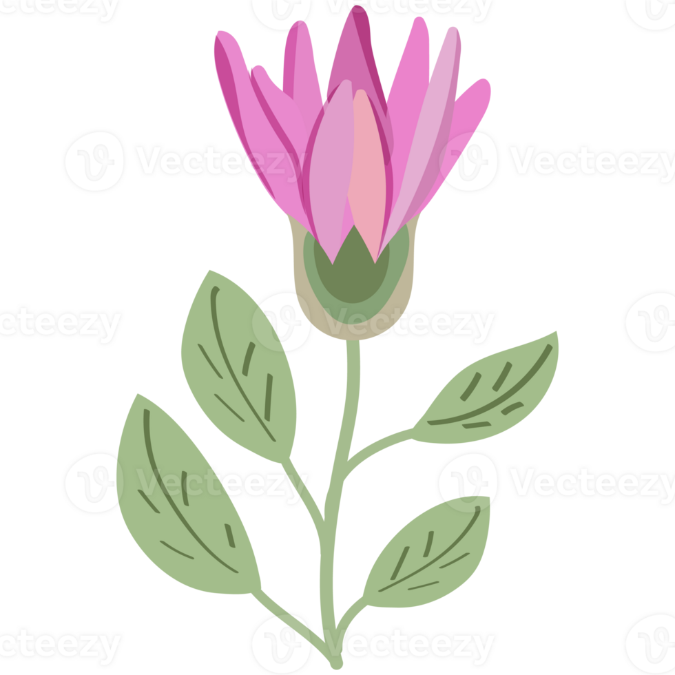 tropisch Blätter und Blumen. Palme, Banane Blatt, Hibiskus, Plumeria Blumen. png