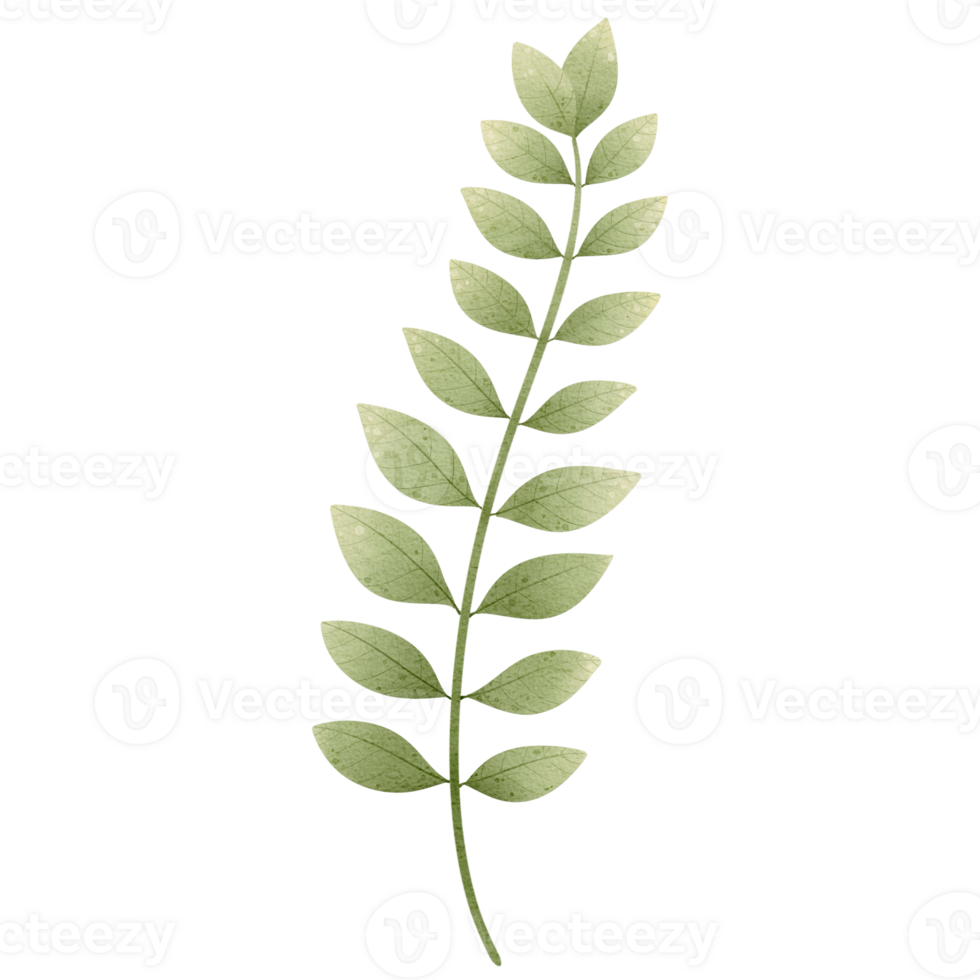 green leaves, transparent background, floral arrangement, bouquet, clipart png