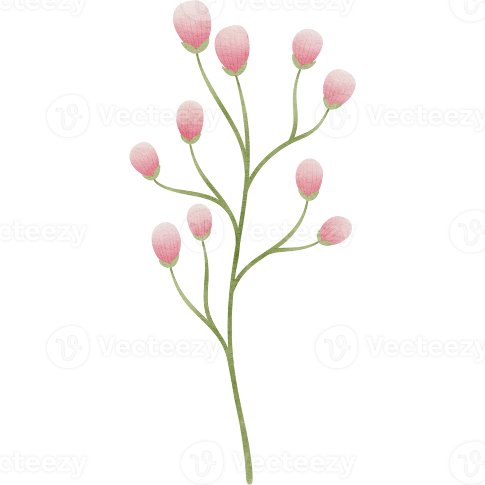 pink flowers, green leaves, transparent background, floral arrangement, bouquet, clipart png