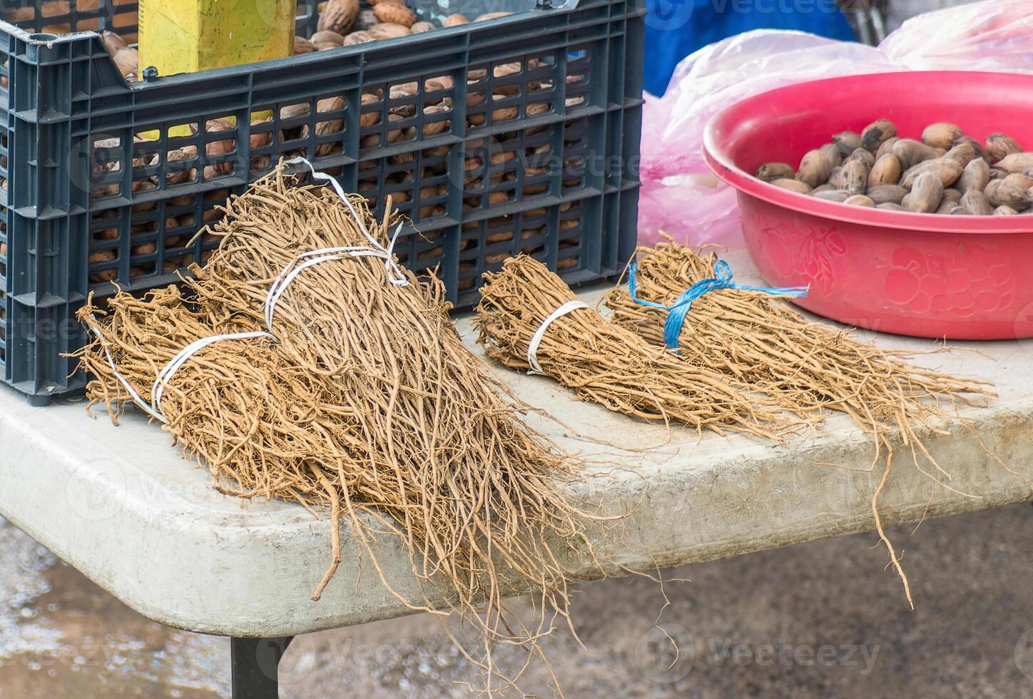 Mexican Chilquahuitl, Chilcuague, Heliopsis longipes, tongue numbing root used in cooking photo