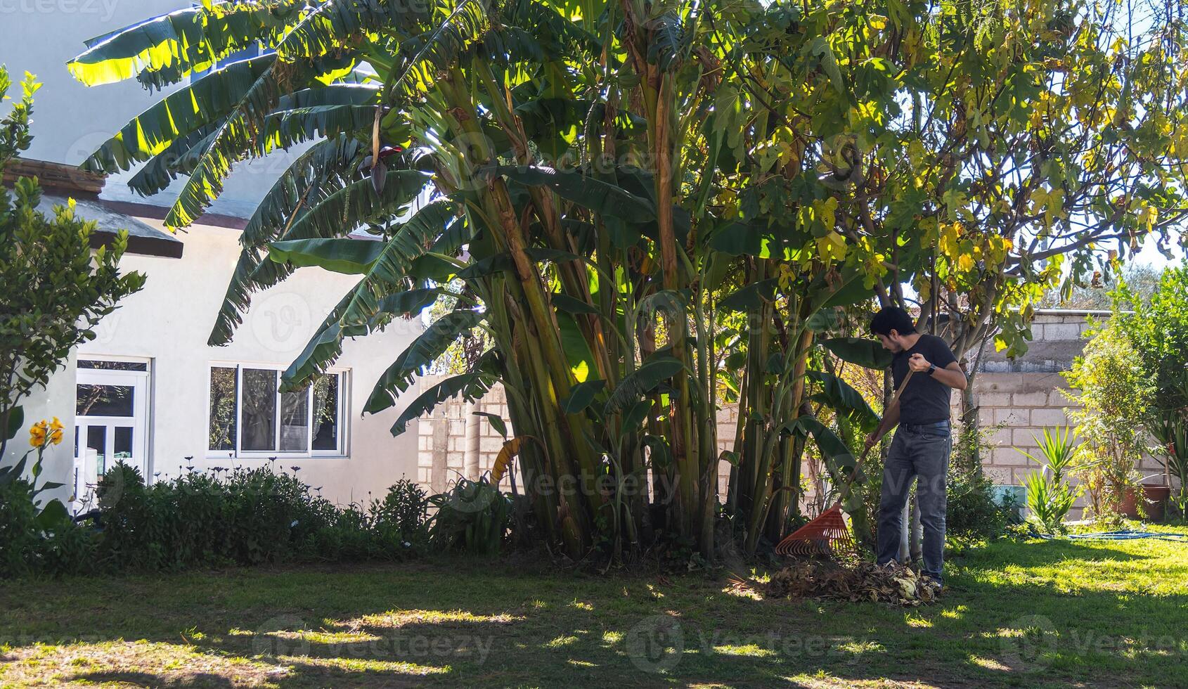 Man sweeping garden lawn in elegant home photo