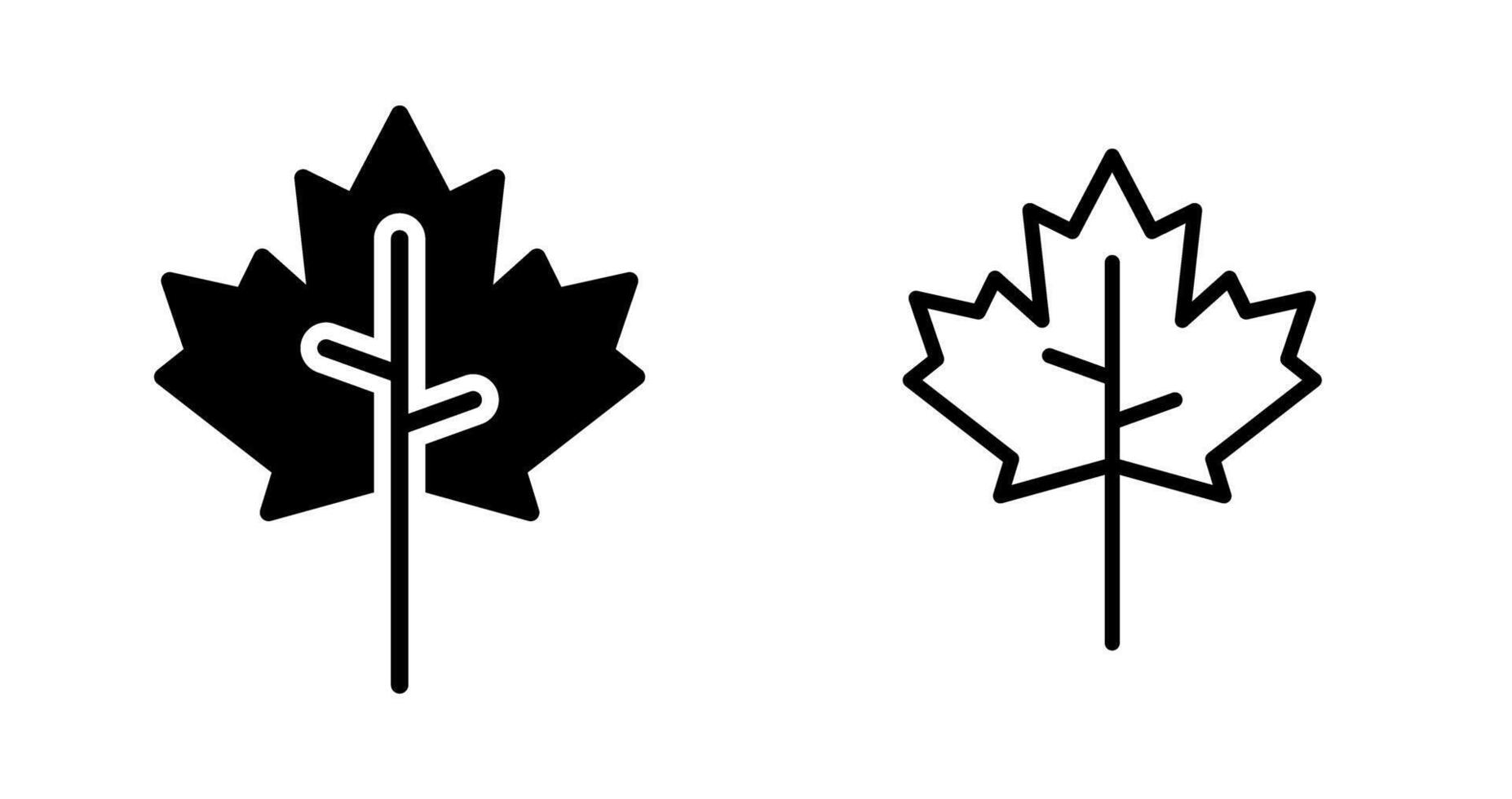 Maple leaf Vector Icon