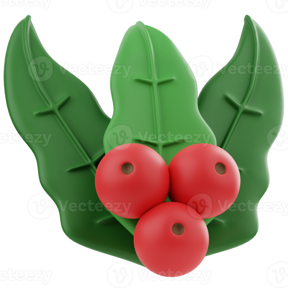 Mistletoe 3D Illustration for web, app, infographic, etc png