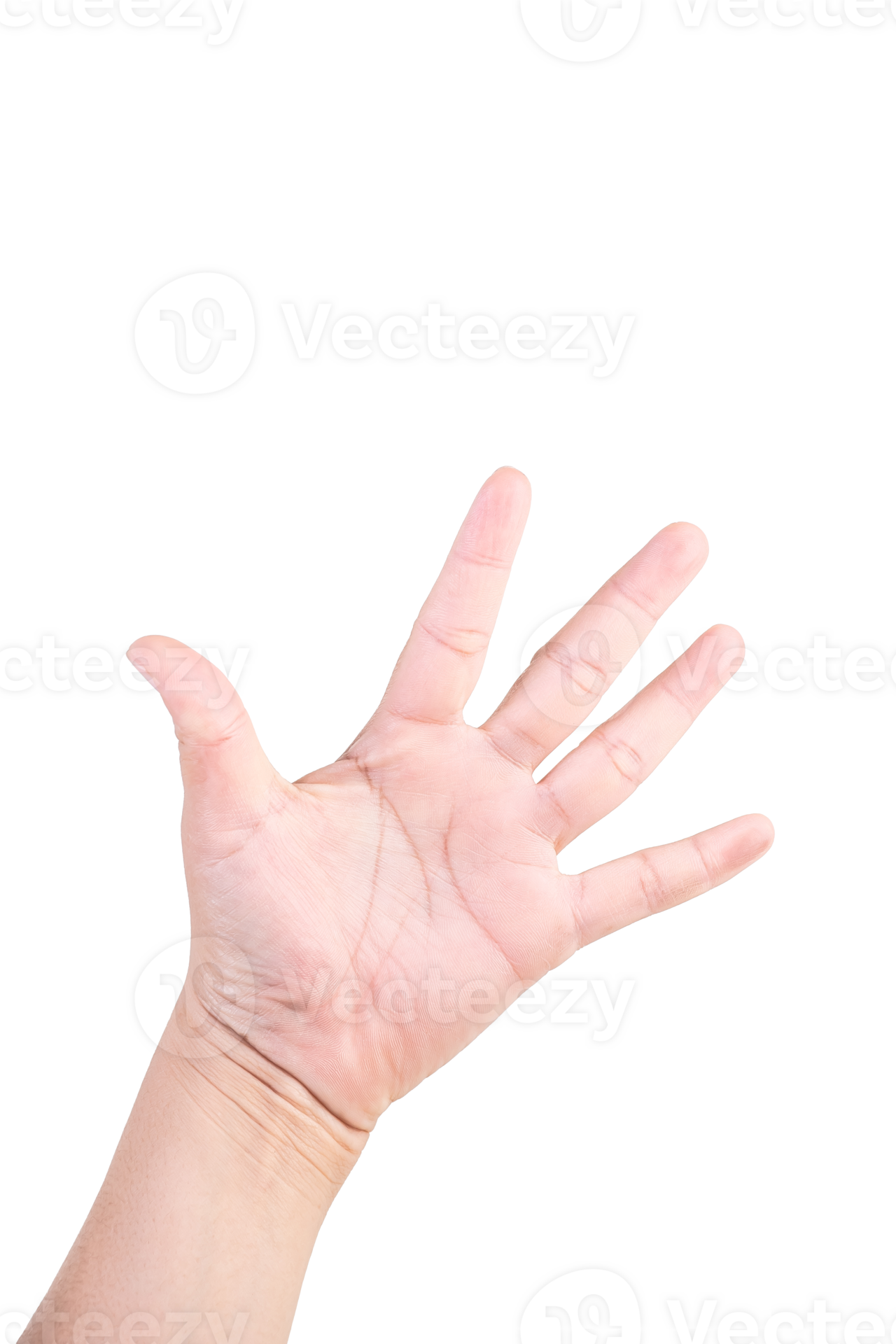 One hand on isolated background clipping path hands are counting