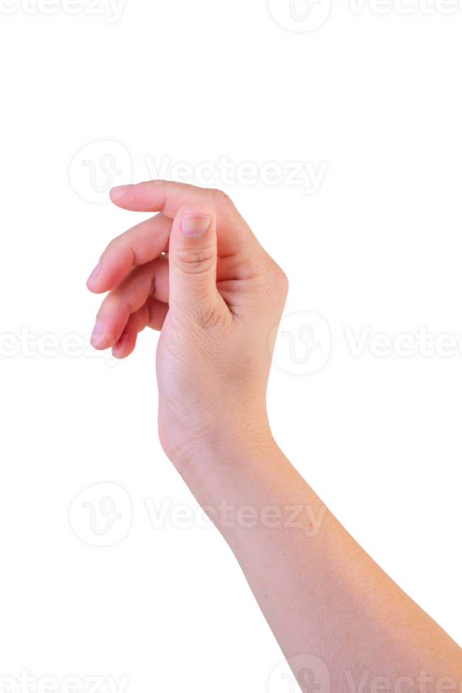 hand on isolated background clipping path png