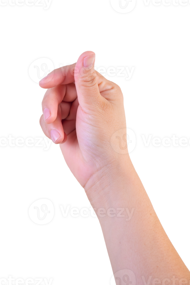 hand on isolated background clipping path png