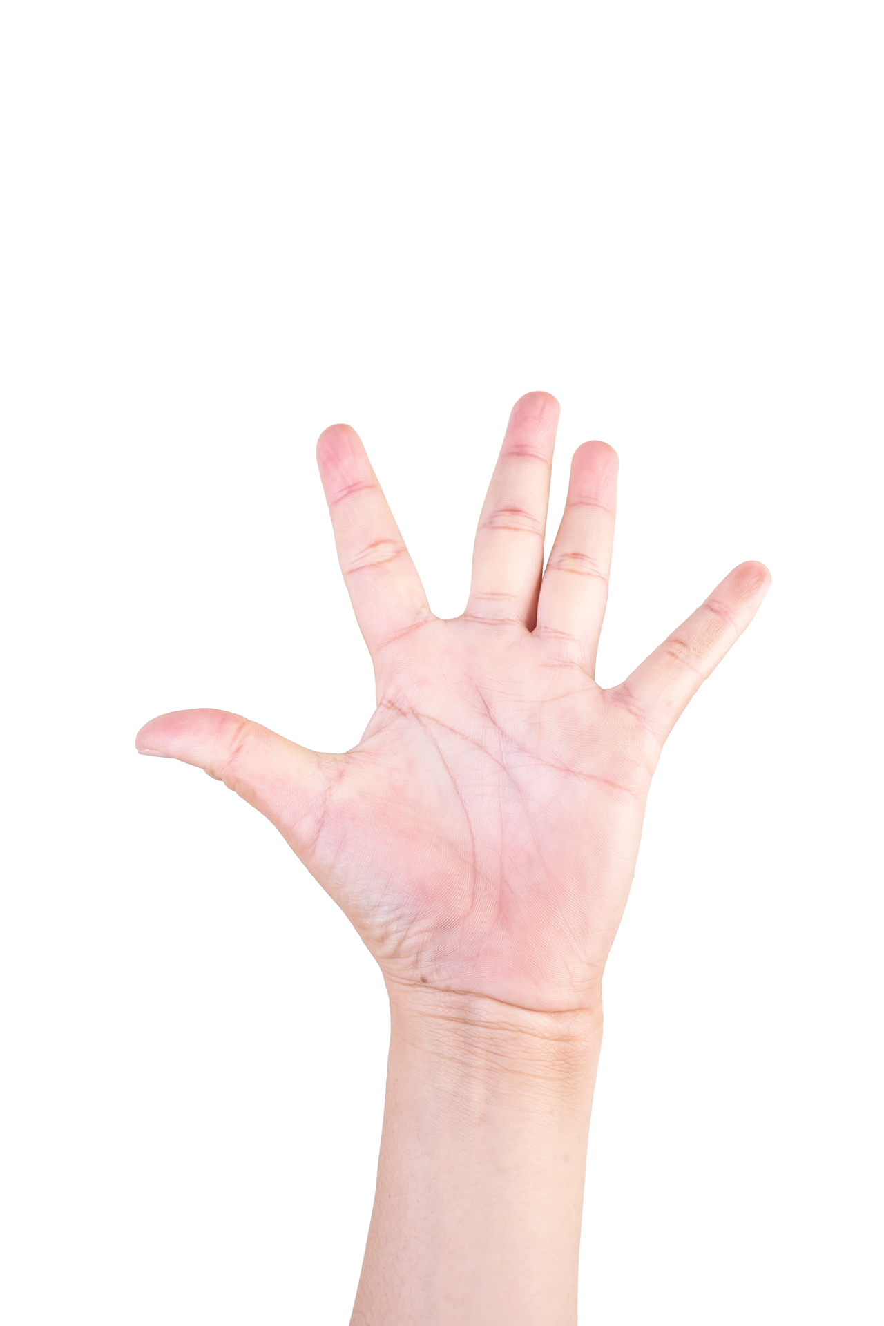 One hand on isolated background clipping path hands are counting
