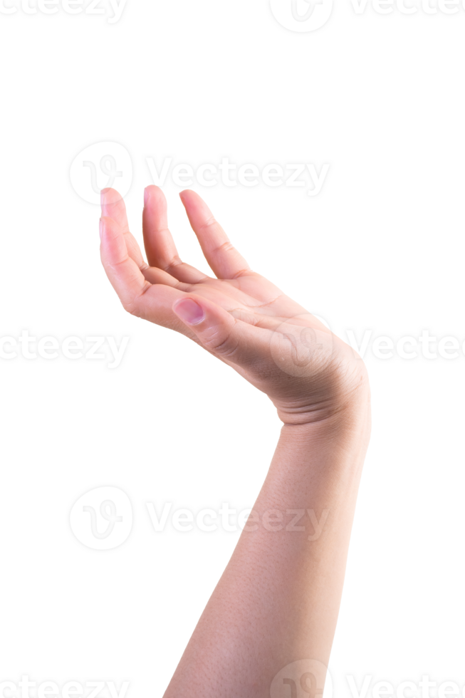 one hand on isolated bakground clipping path png