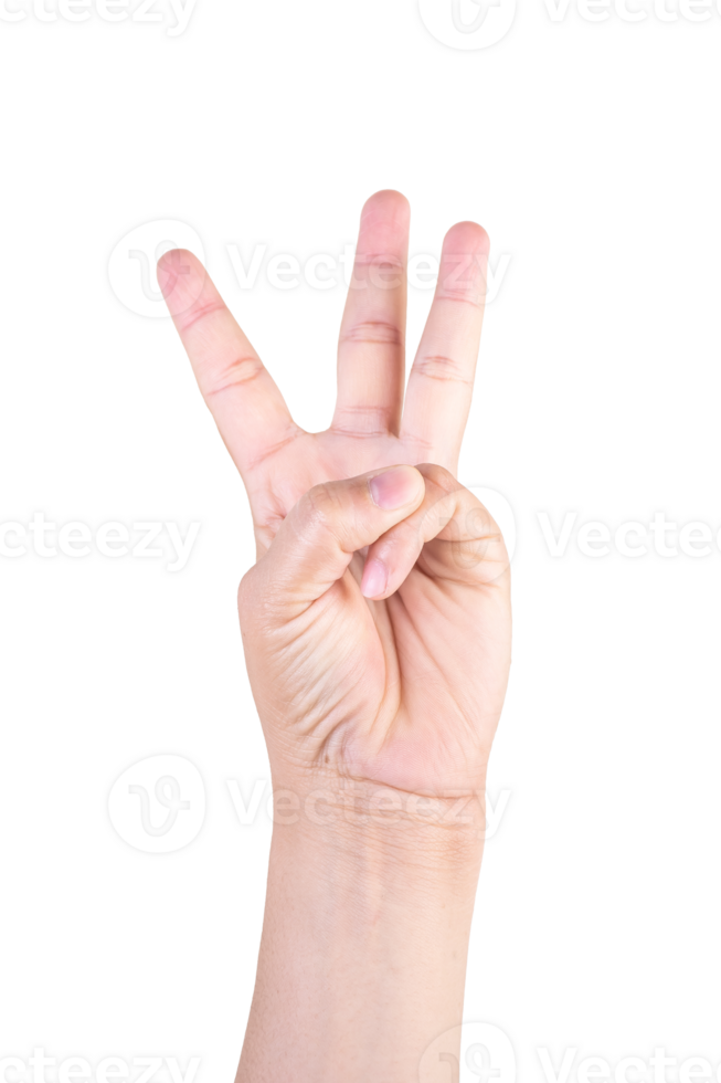 one hand on isolated background clipping path .Hands are counting numbers png
