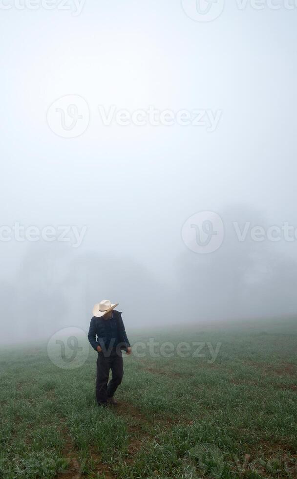 Cowboy man walking among foggy forest with space for text photo