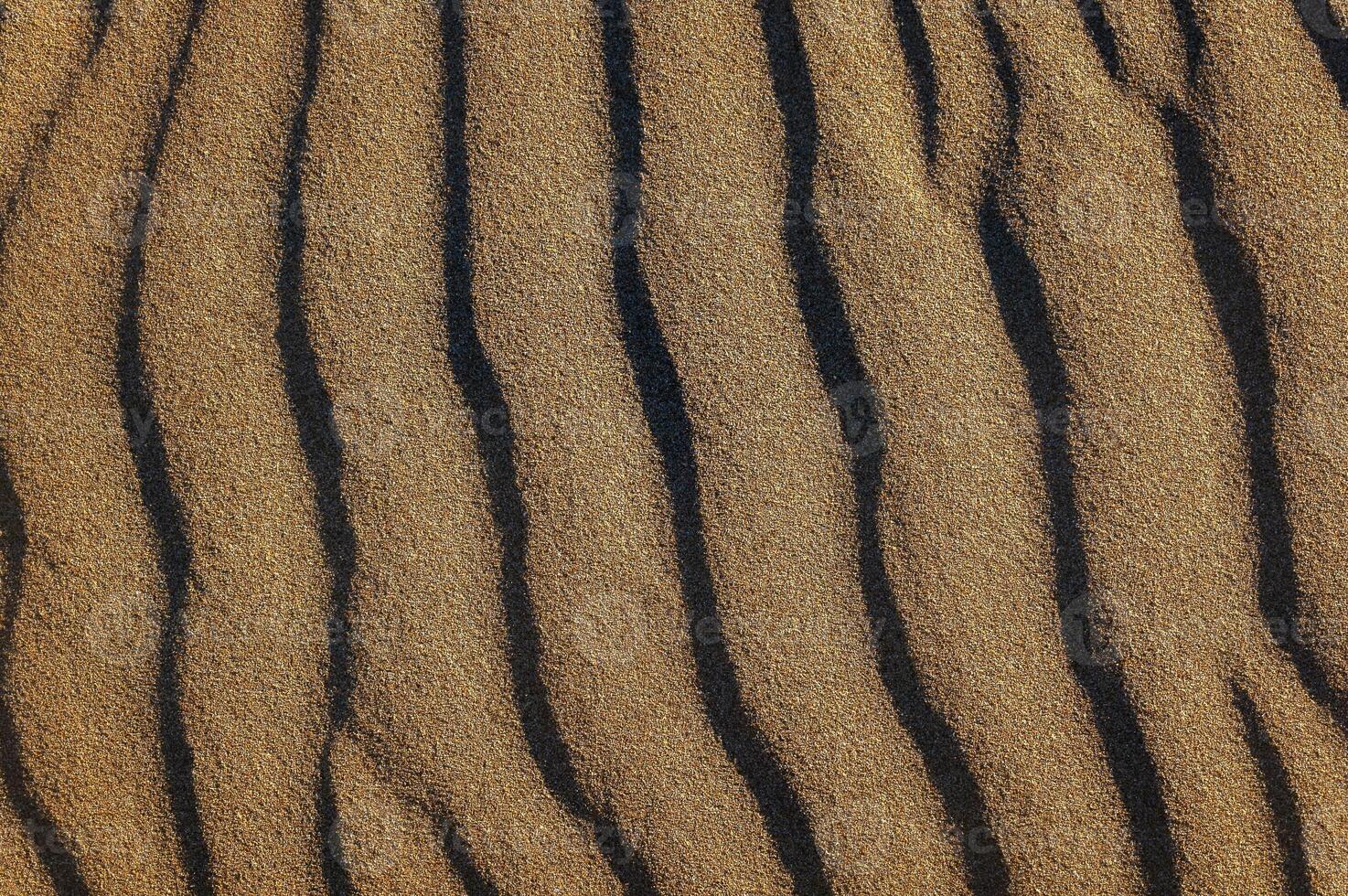 Beautiful background of sand dunes formed by the wind on the beach, with space for text photo