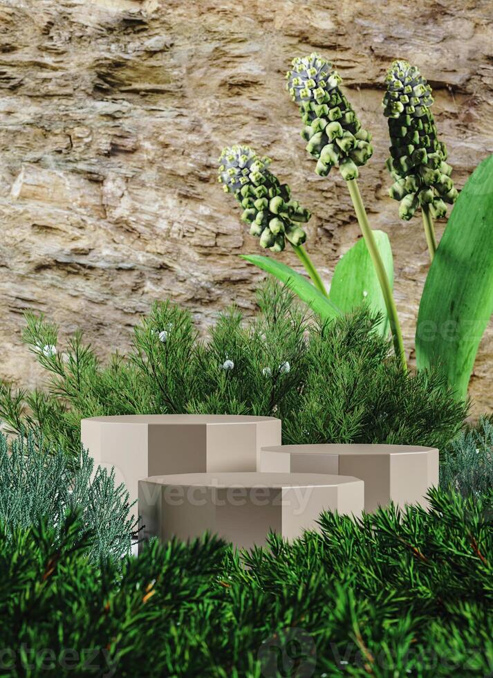 Three base for placing products middle small plants and the brown rock background. Abstract mockup scene for presentation. 3D rendering photo