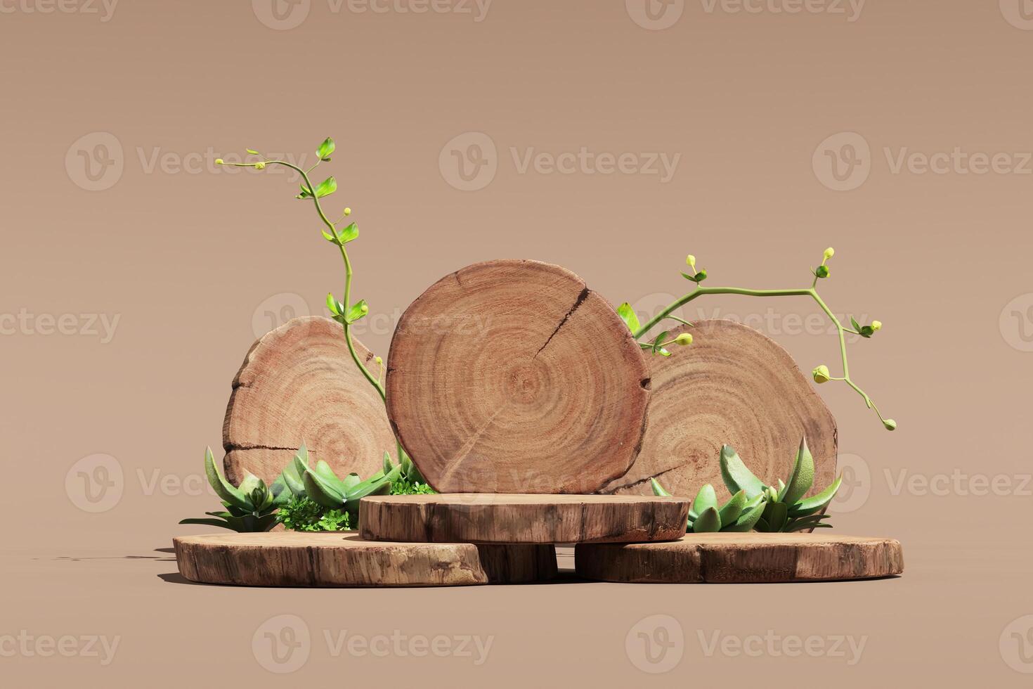 Empty round wooden slats stacked as a product stand. Decorate with small plants. Minimal mockup for product presentation. 3D rendering and clipping path each element. photo