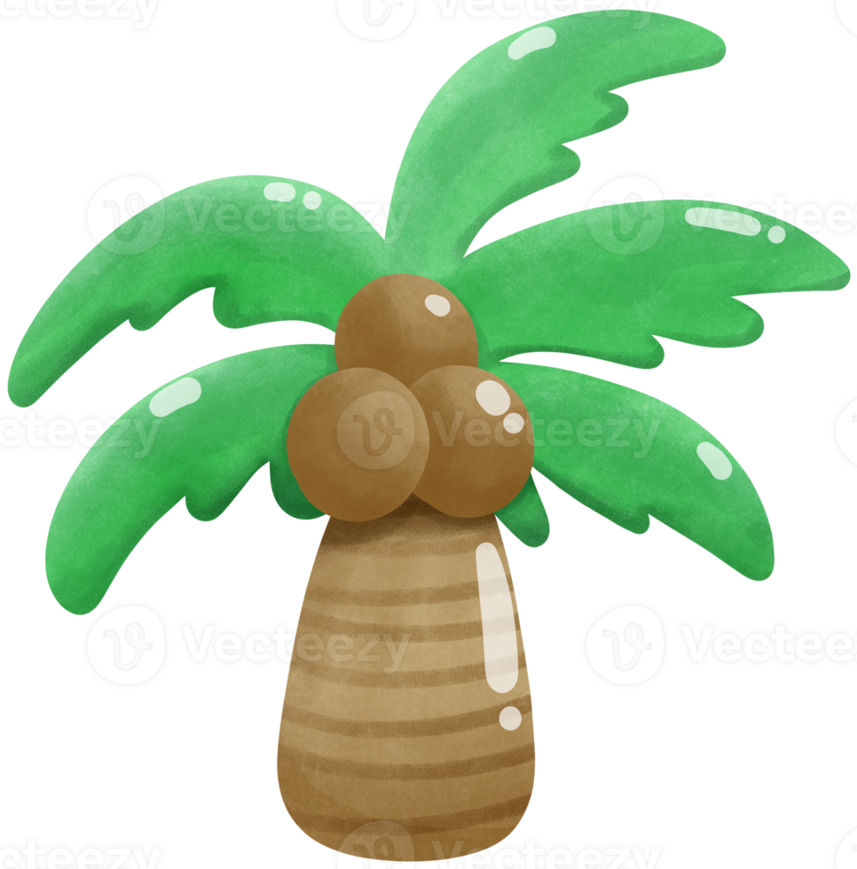 Coconut palm trees png
