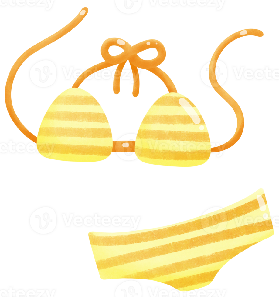 Summer bikini with string bra and panties png