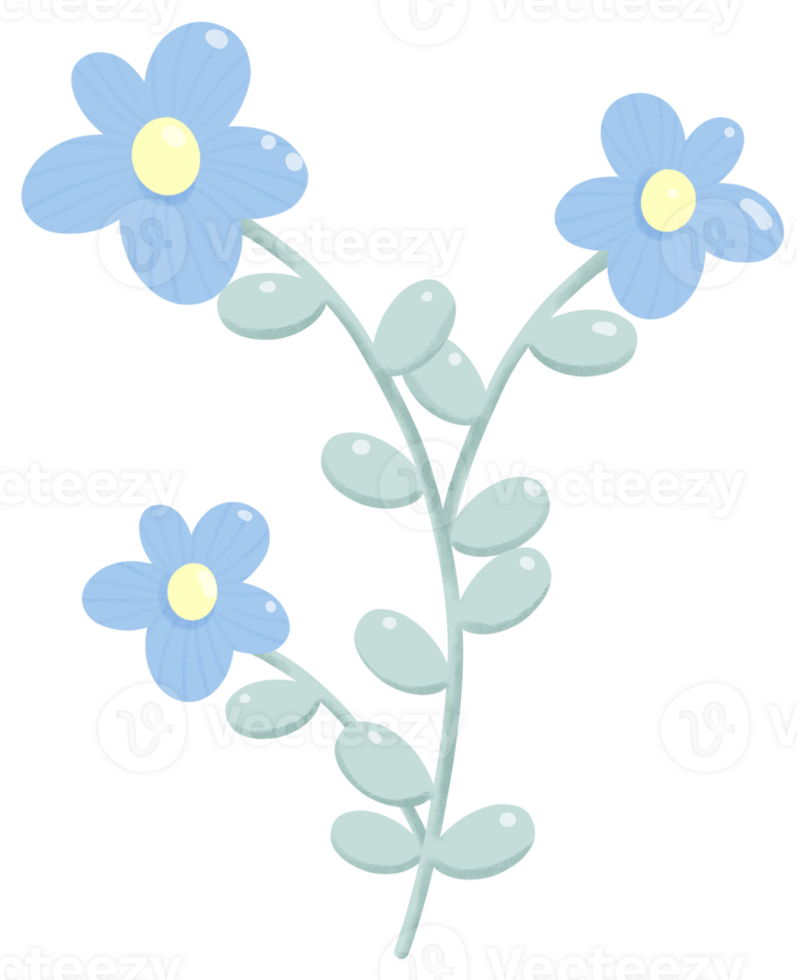 Blue flowers and leaves png