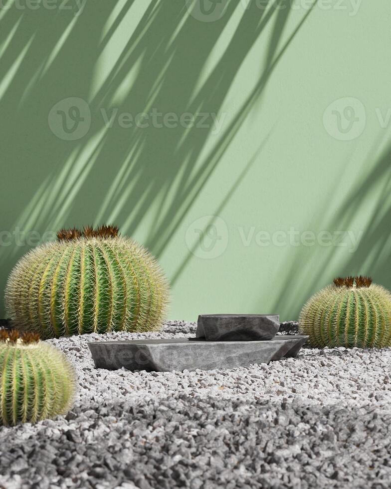 Black stone slabs in rock garden and cactus with green background, product presentation mockup. 3D rendering photo