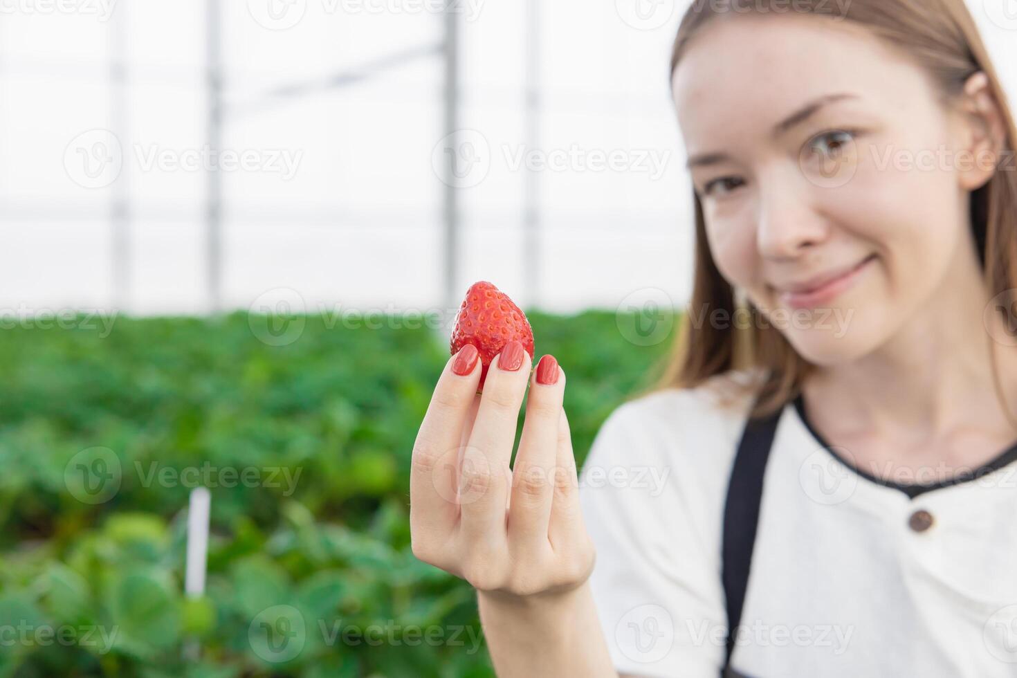 girl teen farmer showing big red fresh sweet strawberry fruit from indoor green house organic farm photo