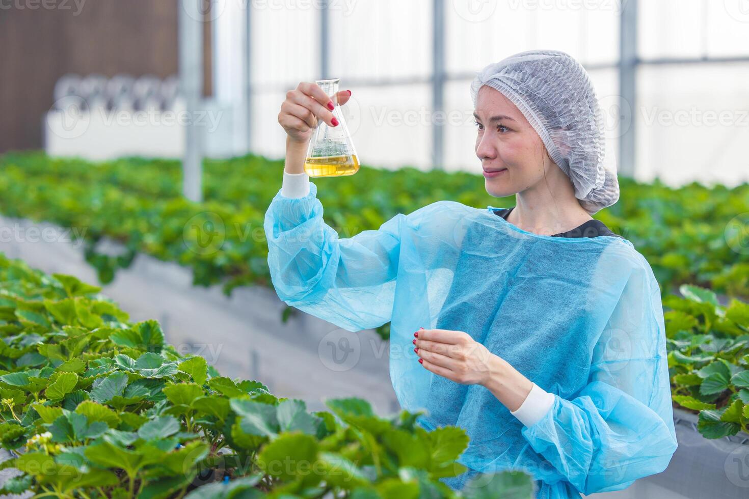 scientist working in organic agriculture farm research new chemical formula extract from plant for medical concept. photo