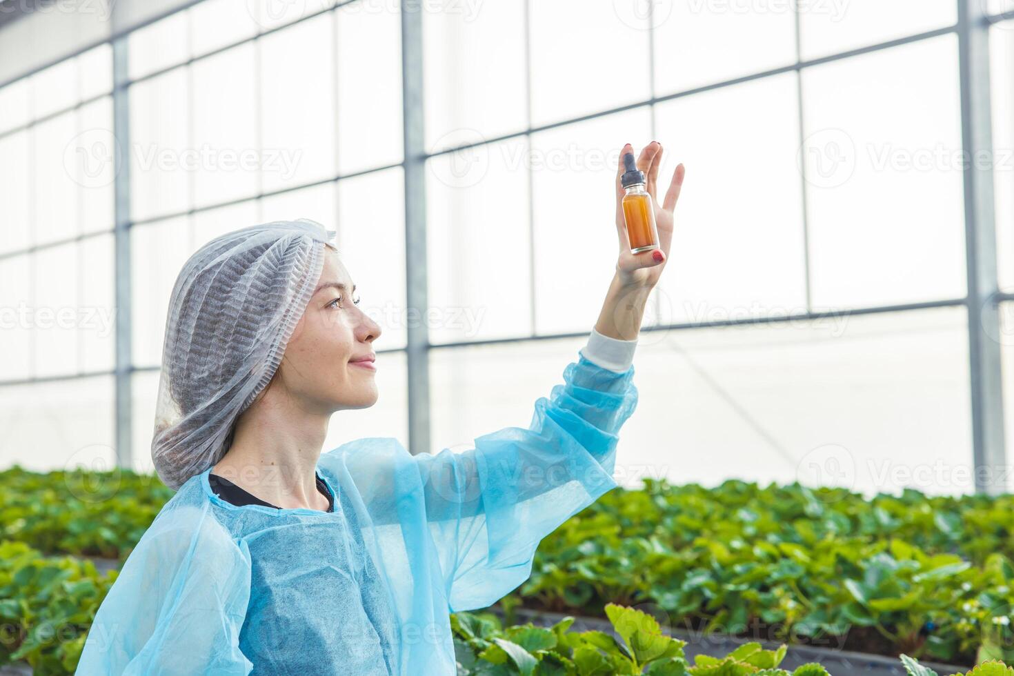 scientist working in organic agriculture farm research new chemical formula extract from plant for medical concept. photo