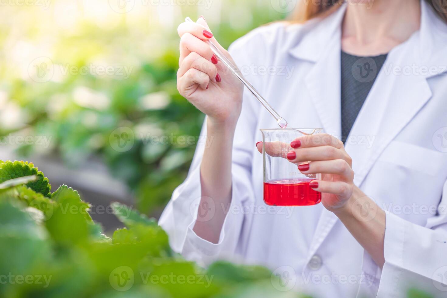 closeup scientist discover liquid chemical formula extract from plant work in organic argriculture farm photo