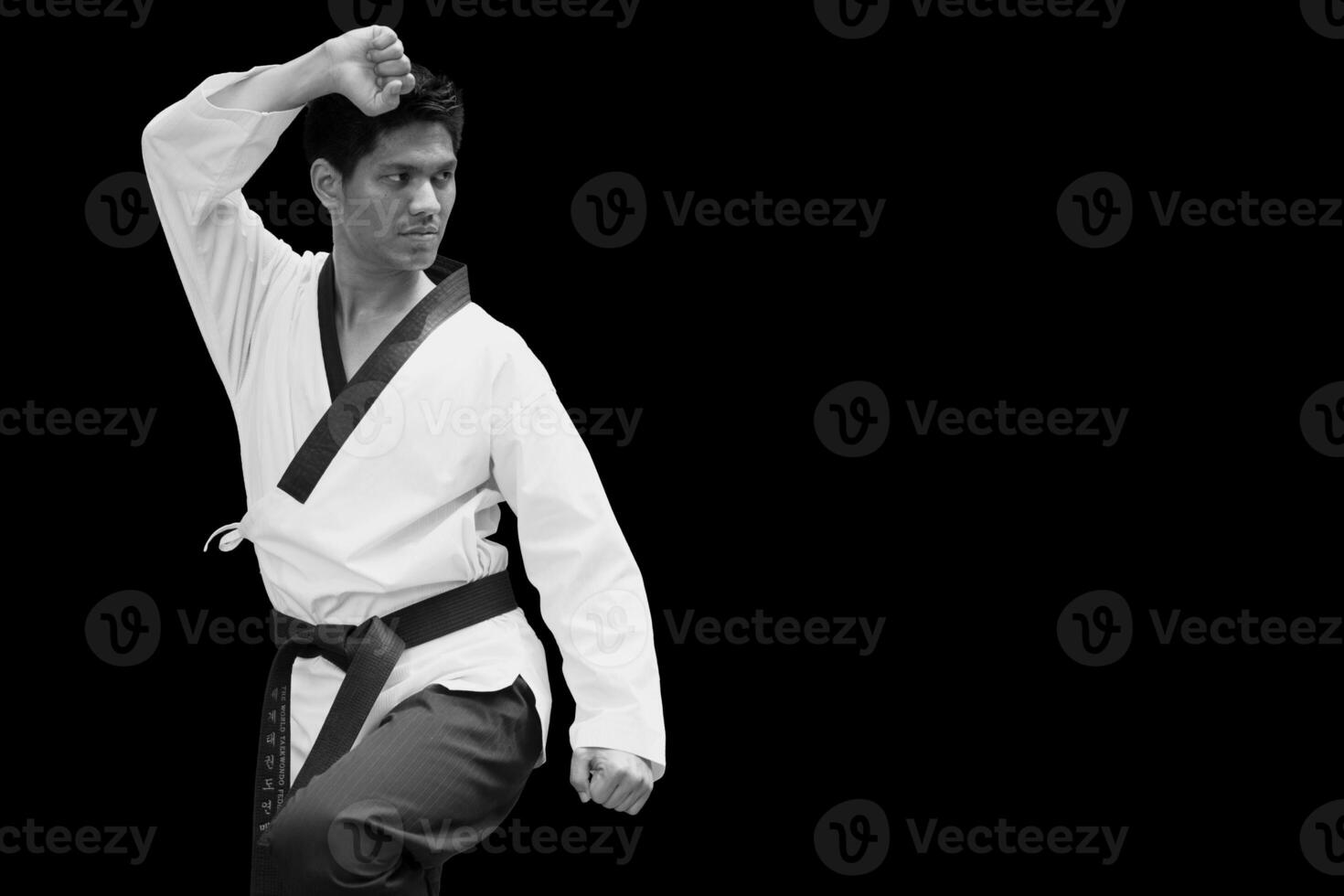 Taekwondo master judo aikido or karate man black belt action tiger stand for self defense self defense martial arts advertising photo