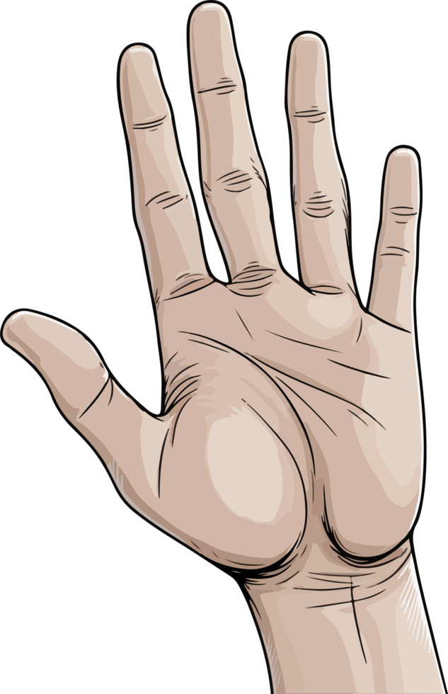 AI generated hand illustration isolated on transparent background. png